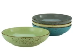 Schale Poke Bowl 4tlg.